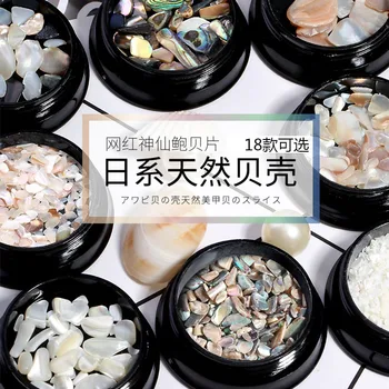 

Manicure Shell Stone New Style Cross Border Hot Selling Japanese-style Natural Shell Pieces Abalone Fragments Thick Shell Stone
