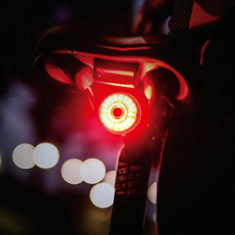

New Smart Sensor Bicycle Tail Light Brake Light USB Charging Waterproof Bicycle Light Night Riding Accessories