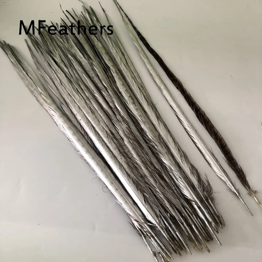 Silver MFeathers 100 шт яблоко зеленое окрашенное Ringneck перо фазана 50-55 см 20-2" натуральный леди Амхерст хвосты фазана оперение карнавал - Цвет: Silver