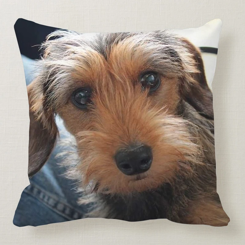 1 шт. 45*45 см милая собака подушка чехол Wirehaired подушки с таксой диван кровать