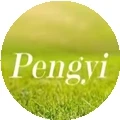 Pengyi Golfs Store