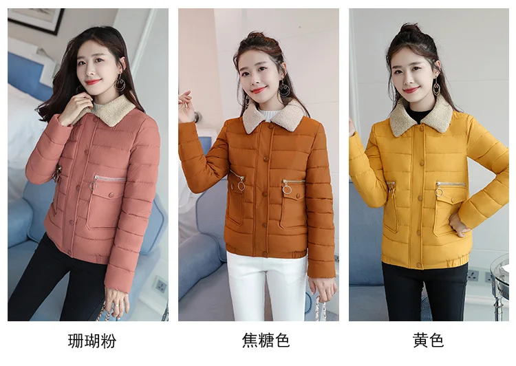 Cotton_14.jpg