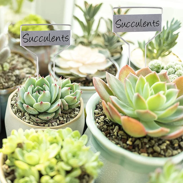 10 Csomag Fémnövény Címké 1 Jelölő Tollral, 4 6 8 11,5 Hüvelykes Növényi Marker Réz Címkék Újrahasznosítható Kerti - Image 6