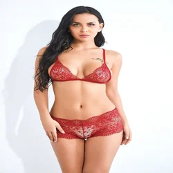 Lingerie Femme Sexy Lace Nightwear Two Piece Set See Through Comfortable Three-point Underwear Gathered Bra American Clothing