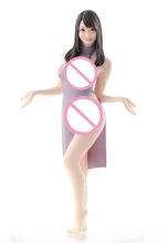 

1/20 Scale Die-casting Resin Model Dream Nai Aiwason Unpainted Model Assembly Kit