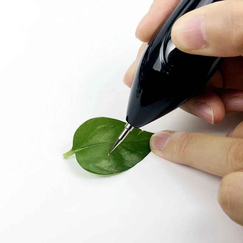 800 800 IMG_6423_副本