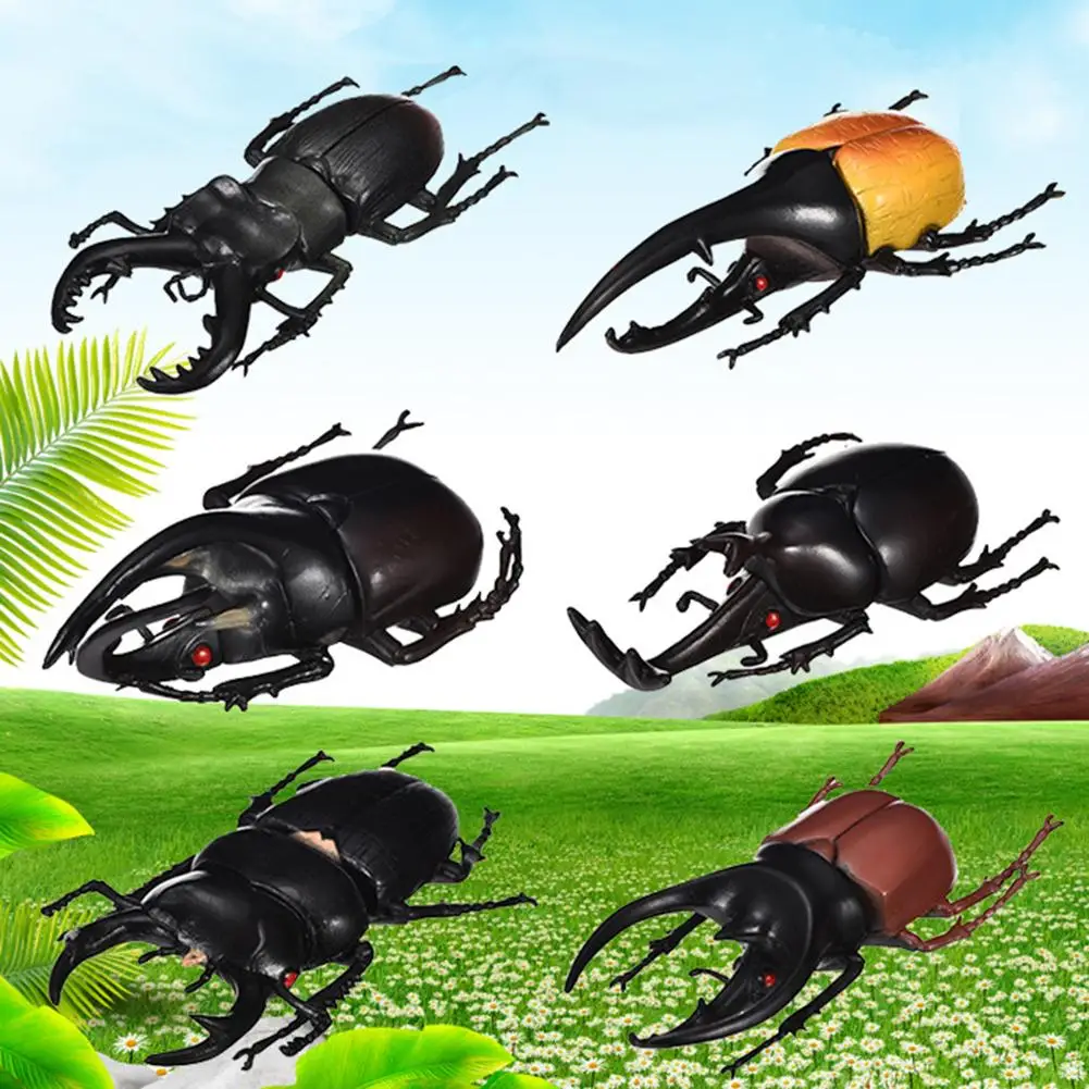 

6Pcs Non-toxic Simulation Beetle Insect Model Kids Adult Toy Halloween Prank Trick Props gift for children