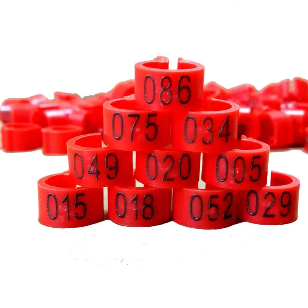 61mUDp2H6OL._SL1000_