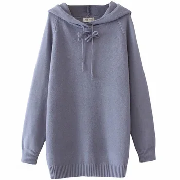 

Plus Size Casual Essential Sweaters Women 2019 Autumn Winter Fashion Loose Long Sleeve Hooded Knitting Pullovers E2-9612
