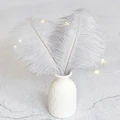 BesdealFeather Store