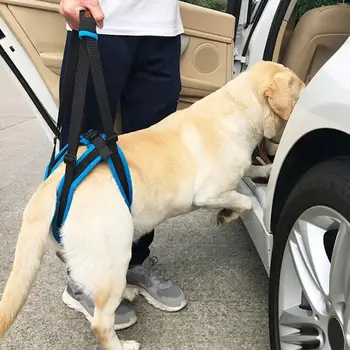 

Blue Pet Hind Limb Rehabilitation Belt Assist Lift Support Sling Disabled Injured Elder Dog for Pet Supplies