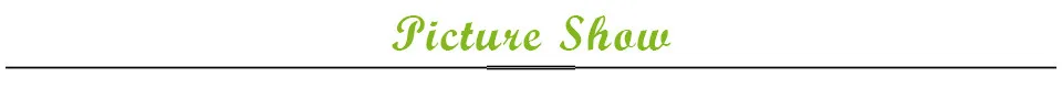 picture show_副本