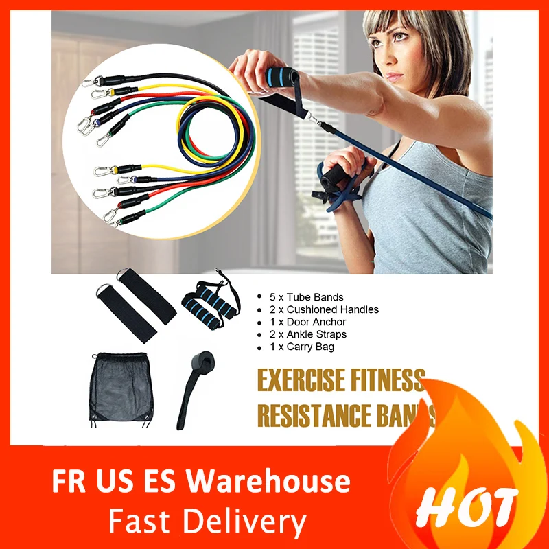 

Resistance Bands Set (11pcs) for Physical Therapy, Resistance Training, Home Workouts