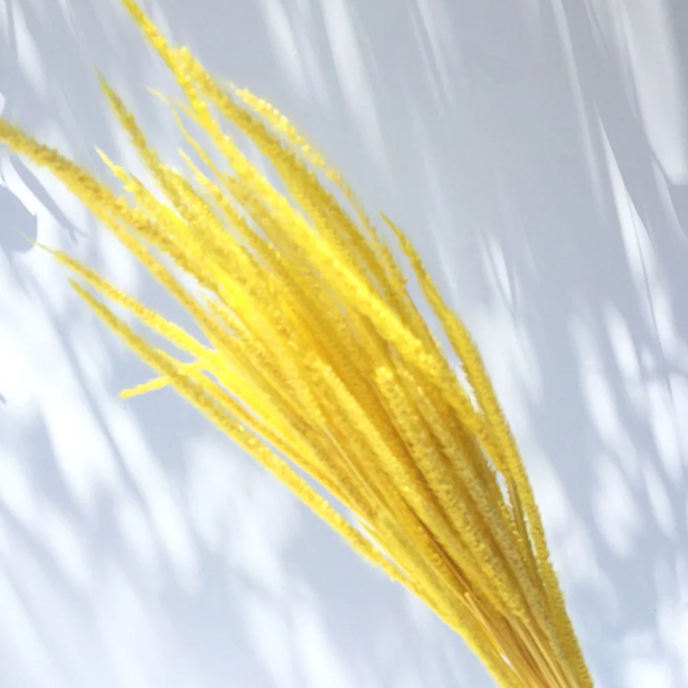 Магазин сушеные вечерние фрагмиты искусство свадебный цветок Рид домашний декор булраш филиал ремесло фото реквизит подарок букет