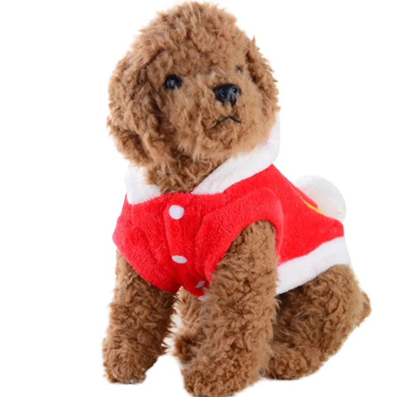 PLL91002510L_0255044257268136764