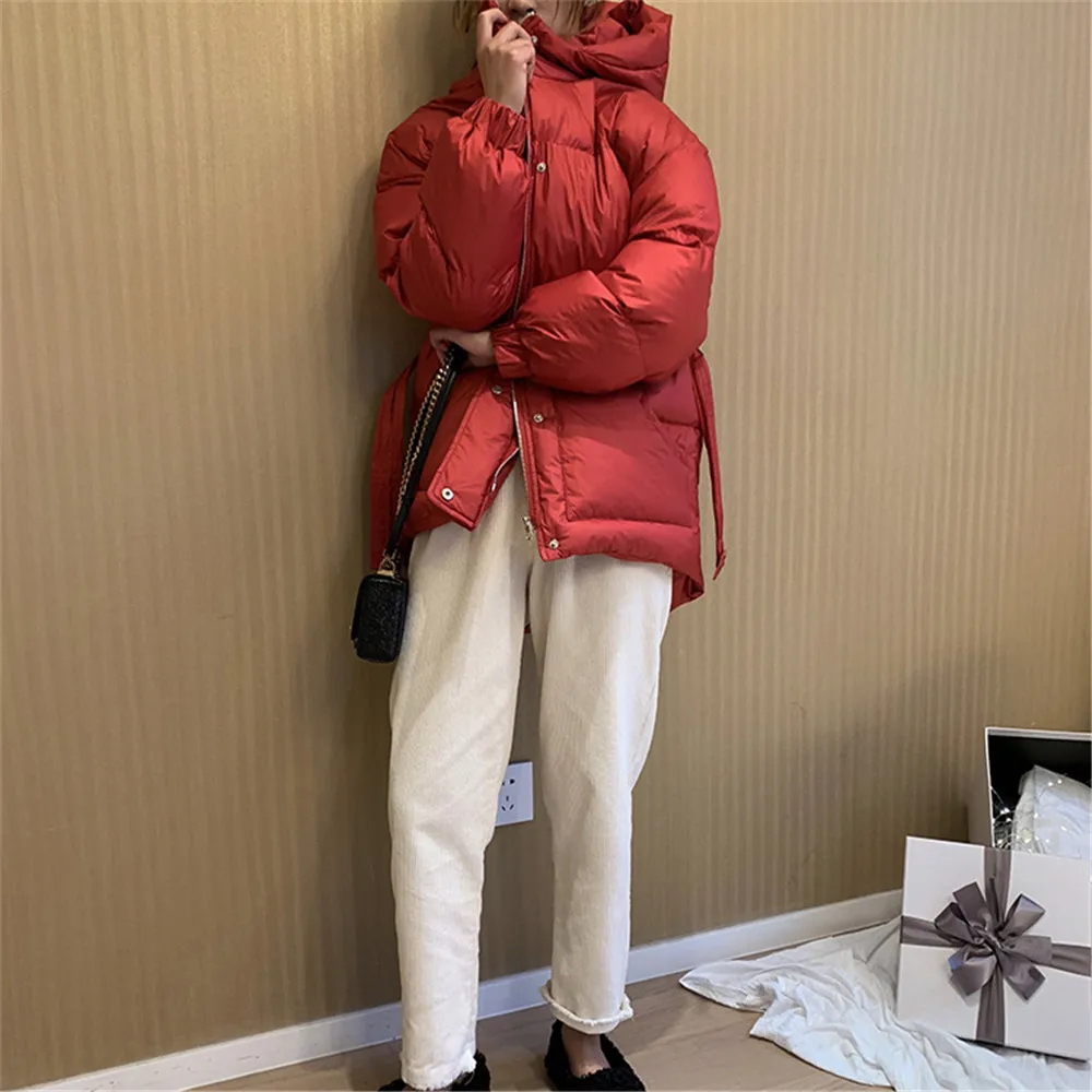 Winter Thicken Coats Women Parkas 2019 New Casual Hooded Loose Down Jacket Female Warm Cotton Padded Winter Coat Women Z1350 (21)