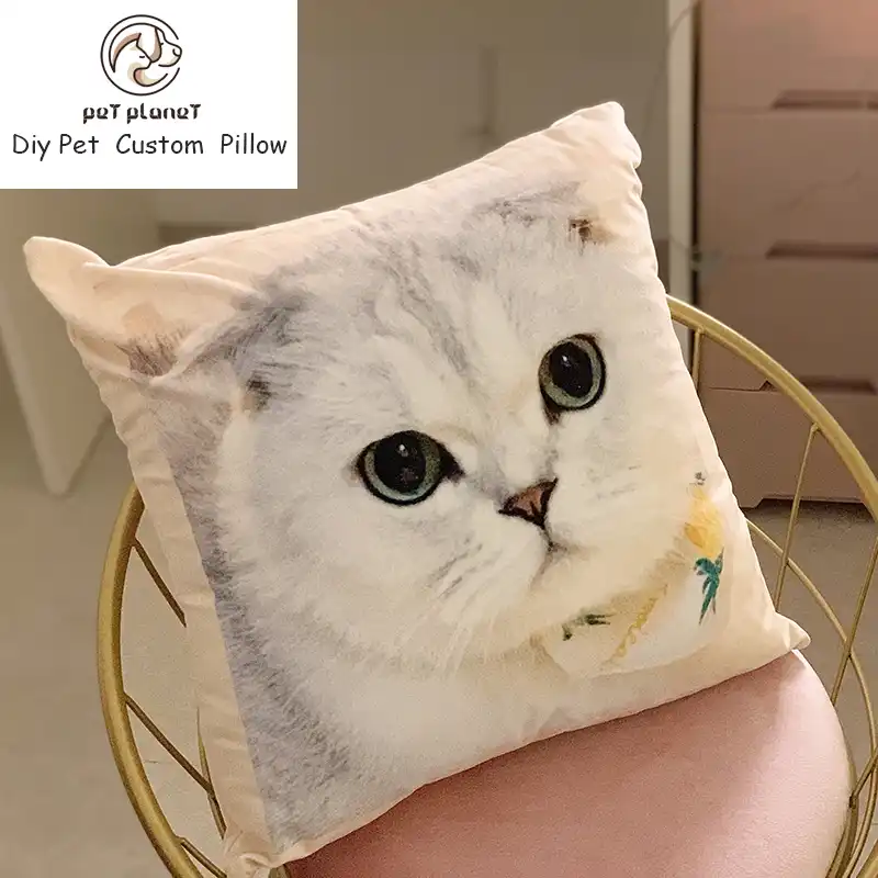 Bricolage Chat Chien Lapin Oiseau Mignon Animal Creatif Oreiller Dessin Anime Animal Oreiller Photo Personnalisee Aliexpress