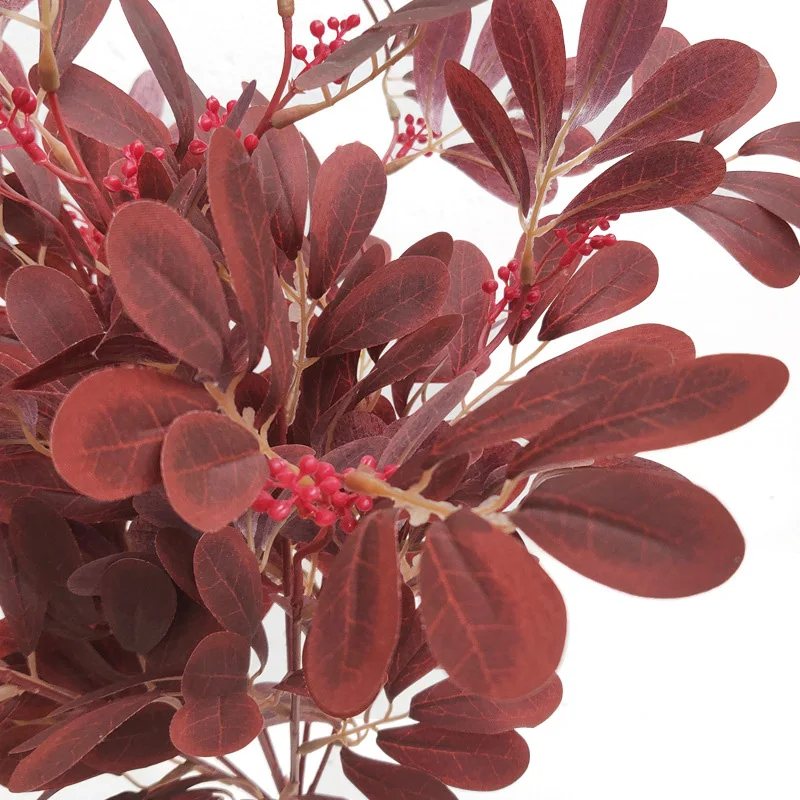 11469878815_1493019570