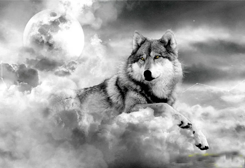 高档微风顶级 3米碳杆狼王风筝2