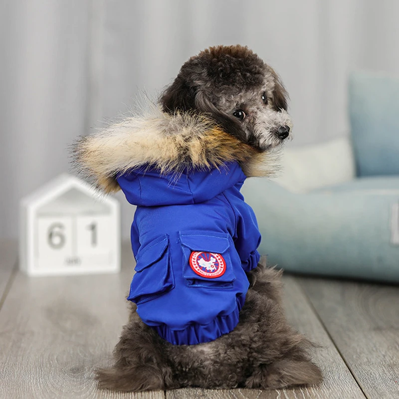 Dog Winter Clothes
