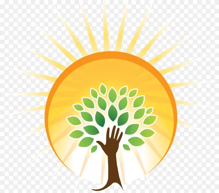 勃起不全の結果画像