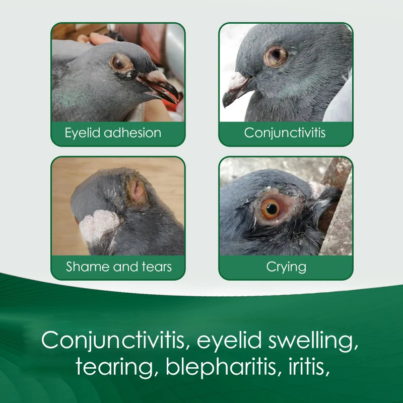 Chlamydia Cat Conjunctivitis Stores