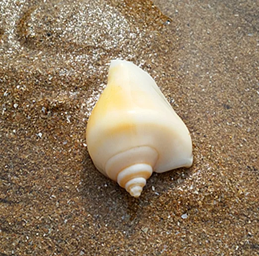 %%L[Q9YP{L2EWZ7SSA{2%{O