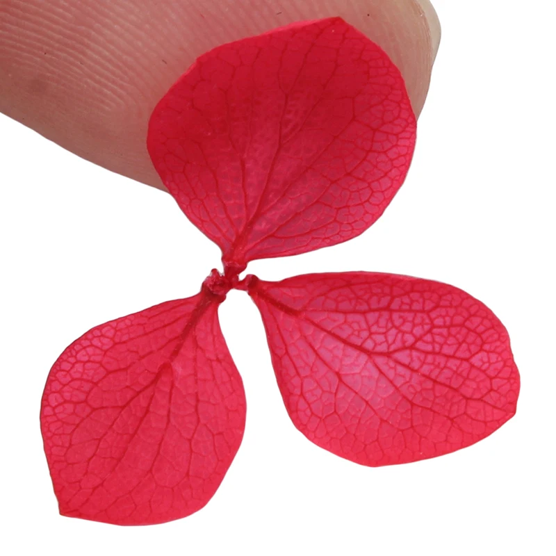Pressed Dried Flower Nail Decoration Dry Plants For Epoxy Resin Nail Sticker Jewelry Making Craft DIY Nail Accessories