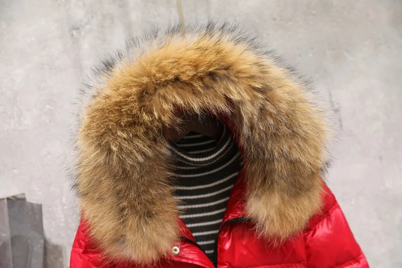 O1CN01TKTG0M1hm9A7cj946_!!801814319