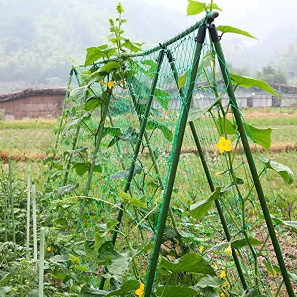 Садовые зеленые овощи растение решетчатая сетка Поддержка растений скалолазание выращивание забор Садовые принадлежности