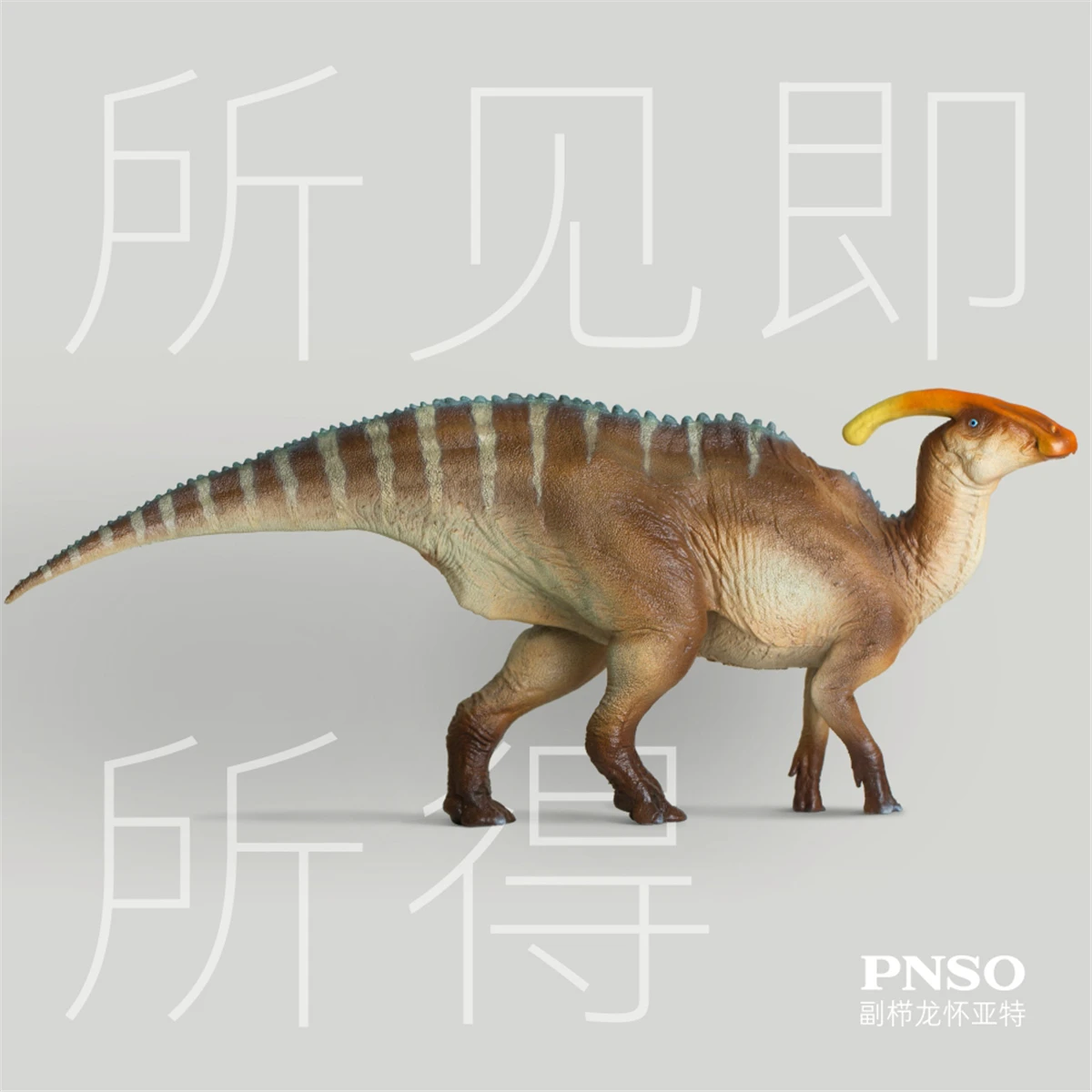 Pnso 2021 Parasaurolophus Wyatt Hadrosauridae Dinosaur