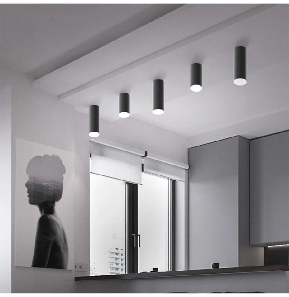 Downlights  (14)
