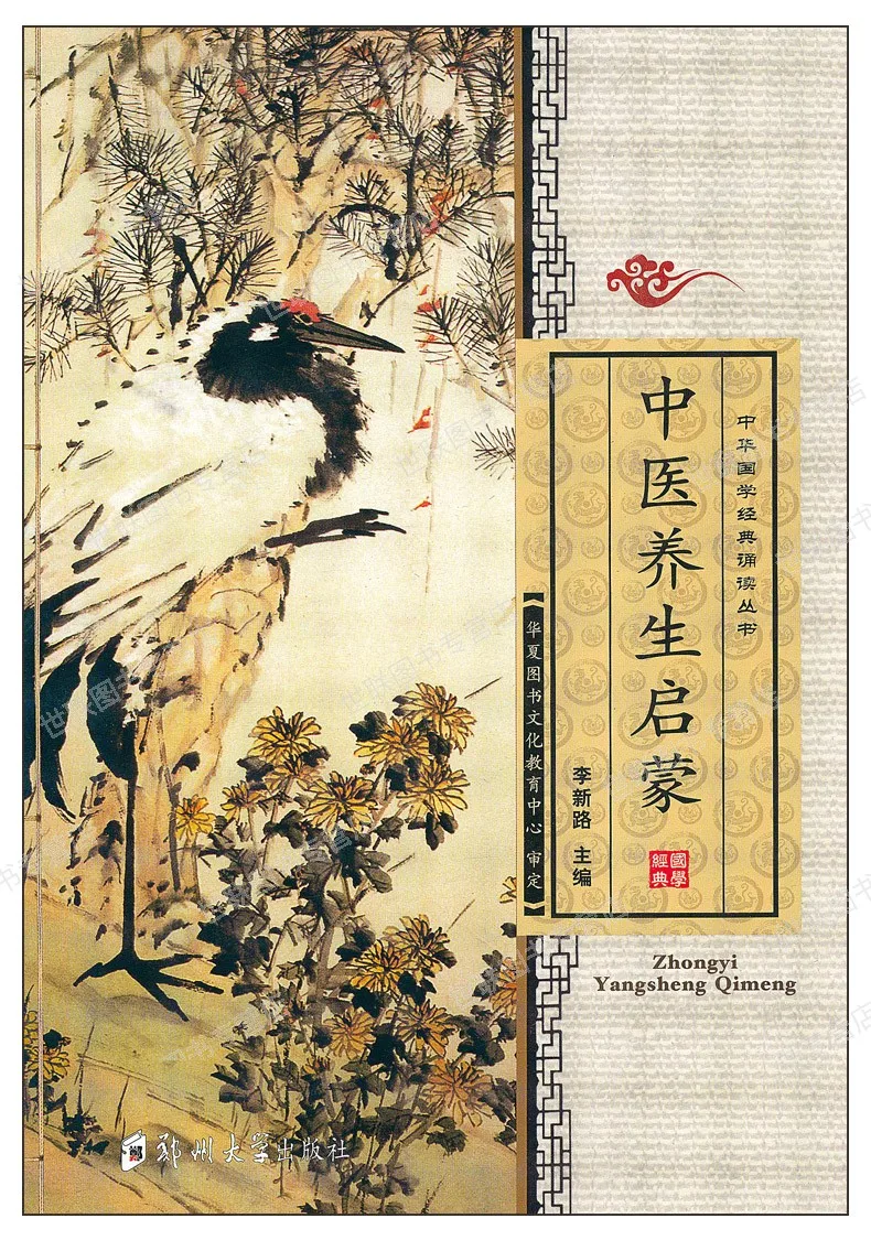 Китайские книги классики с пиньинь|chinese book|chinese medicine booksbook book |