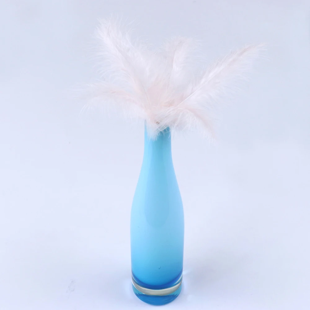 HS0201019 6