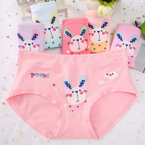 8968 4pcs/lot Children Underwear New Girl Boxer Cotton 2-16 Year Kids Baby Cartoon Panties Big Girl Underwear Bragas Calcinhas - Цвет: 8968