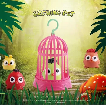 

2 Pieces Magical Creative Novelty Expansion Swell Toy Growing In Water Bird Cage Children Gift Desktop Decoration Funny Toy