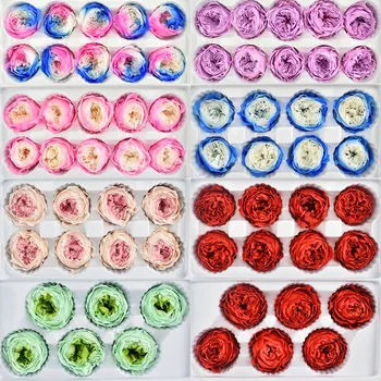 

10PCs/BOX Preserved Fresh Flower Austin Rose DIY Flowers Material Box Immortal Rose 4CM Eternal Life Flower Level B