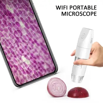 

Real-Time Video Inspection Camera Hand Held Endoscope Endoscope Portable Practical Photos Waterproof Computers Durable Wifi