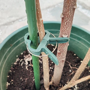 

20pcs Garden Plant Fixed Clips Vines Grape Support Fastener Vegetables Flowers Tied Buckle Clamp Greenhouse Bracket