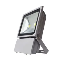 Waterproof IP66 LED Floodlight 100W Projector AC85-265V Outdoor Security Landscape Floodlight Wall Light Blue Warm White Green Y