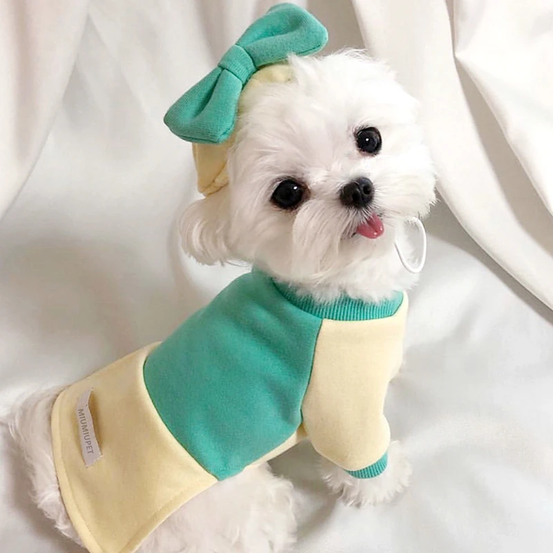 2021 Милая осенне-зимняя одежда для собак и медсестер новинка пуловер домашних
