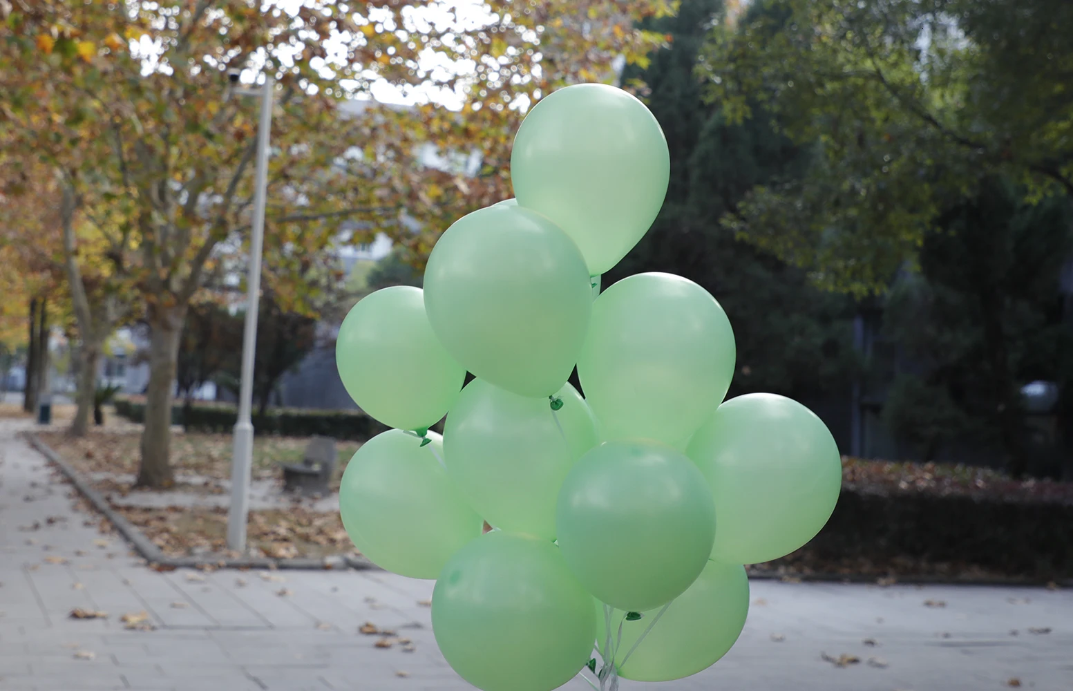 30 шт счастливый год Palloncino Verde Perlescente Пикник Neve Bambini Gioca Palloncini Per La Decorazione Domestica