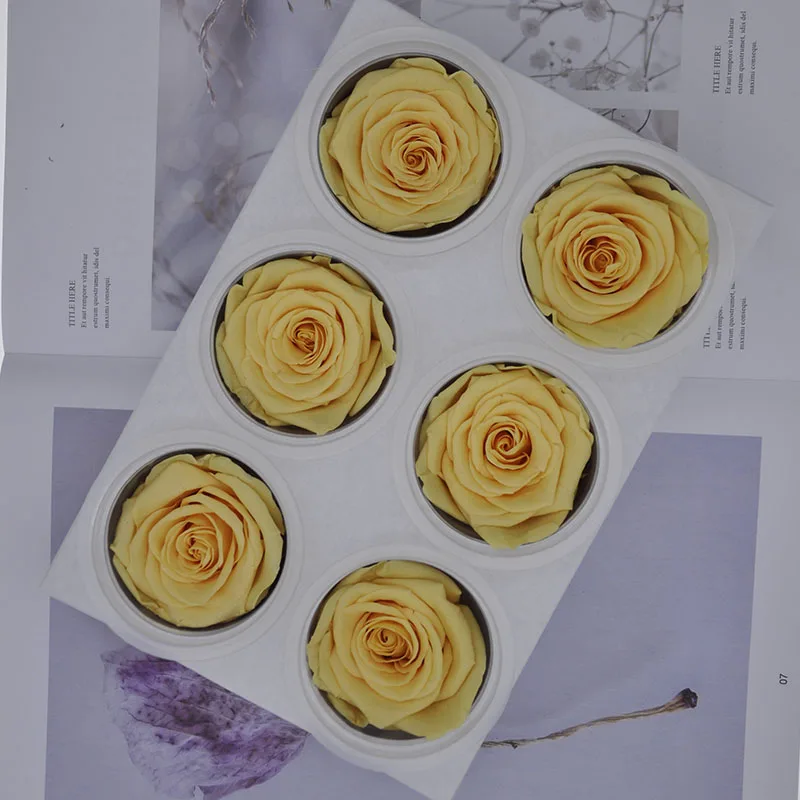 6pcs/box Flowers Rose 5-6CM Preserved Eternal Roses Box Christmas Valentine's Gifts Forever Everlasting Rose Flowers - Цвет: 32