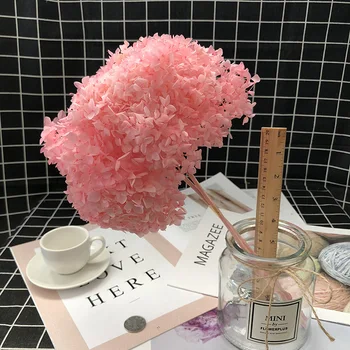 

15-18CM Head,Preserved Anna Hydrangea with stem,Nature Eternal rose for Wedding party Home Decoration accessories,gift box decor