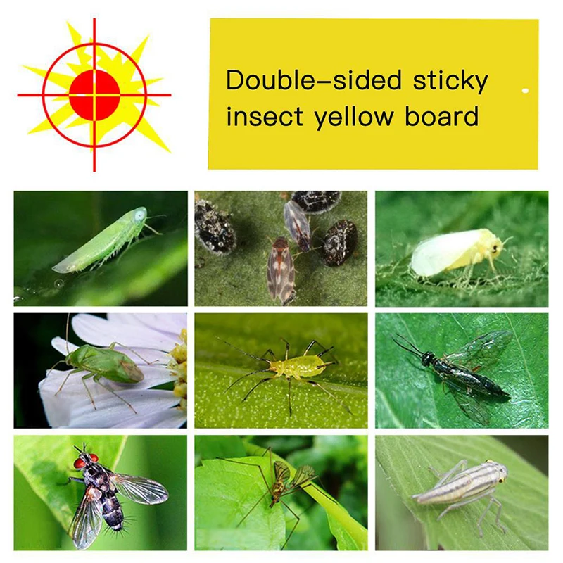 13634923177_1002151063