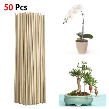 

New 50 Pcs Wood Plant Growth Stand Bamboo Plant Grow Stand Sticks Potted Garden Flower Canes Plants Flower Cane Tools