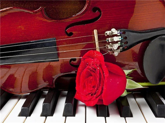 Huacan-5D-DIY-Diamond-Painting-Flower-Rose-Full-Drill-Square-Diamond-Embroidery-Cross-Stitch-Rhinestone-Picture.jpg_.webp_640x640 (7)