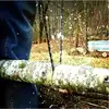 Mintiml™ Pocket Chainsaw Survival Gear Manual Hand Steel Rope Chain Saw Practical Portable Emergency Survival Gear Steel Wire Ki 2