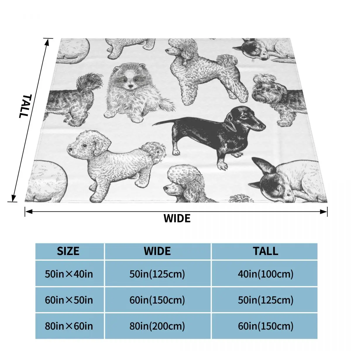 ���� ������ ��ȣ�������� �Ϳ��� ������ ��� ���� �ö��� ��Ƽ�� ����Ʈ ħ�� ����� ��� �� ����