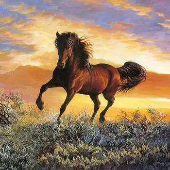 

Diamond Painting Horse Animal 5d Diy Mosaic Full Square Round Drill Diamant Of Rhinestone Daimond Embroidery Pictures Sale